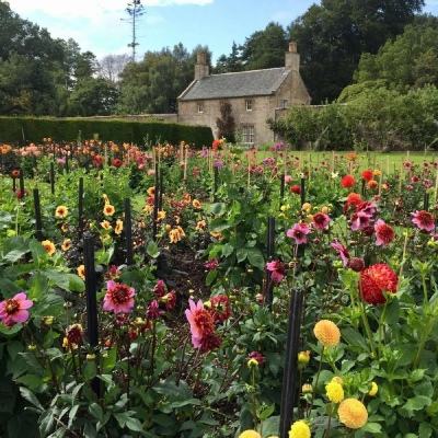 官方竞彩足球app