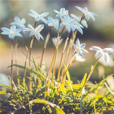 Bsport体育手机在线登录入口