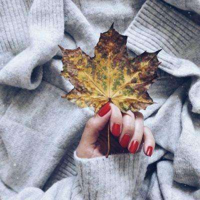 万博(ManBetx)app下载