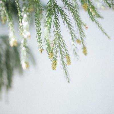 亚博app(中国)官方网站app下载