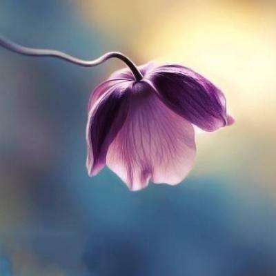 北单体彩网官网