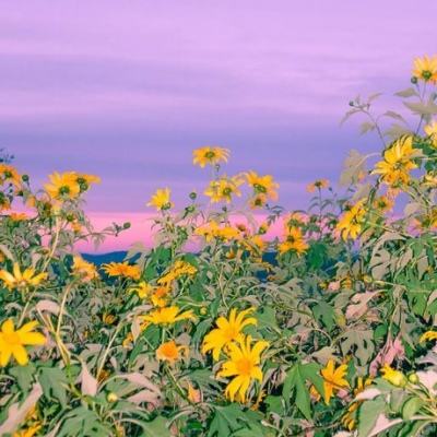 ayx体育在线登录app下载