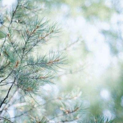 九游会AG手机app下载